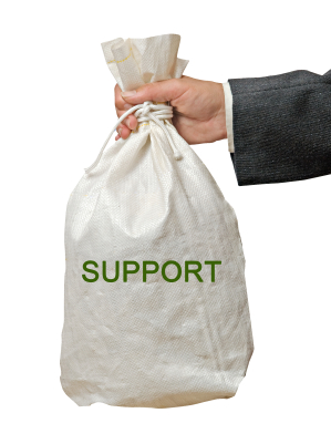 Bag with support